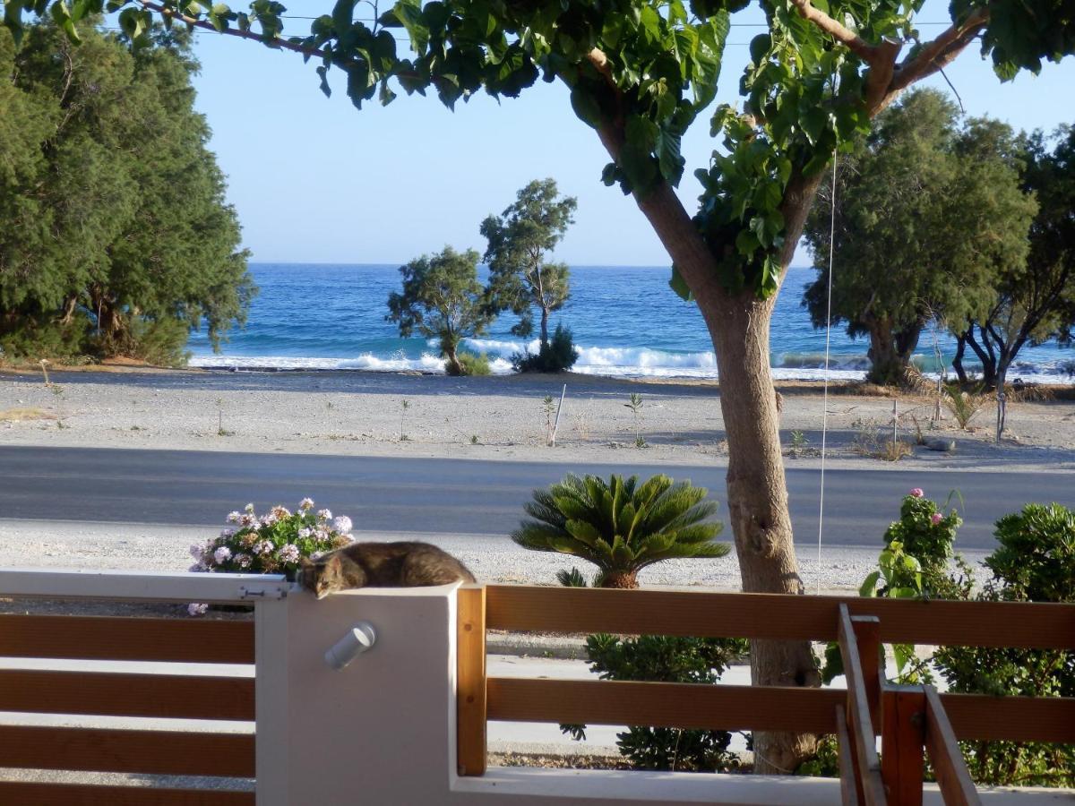 Votsalo Villa Ierapetra  Exterior photo